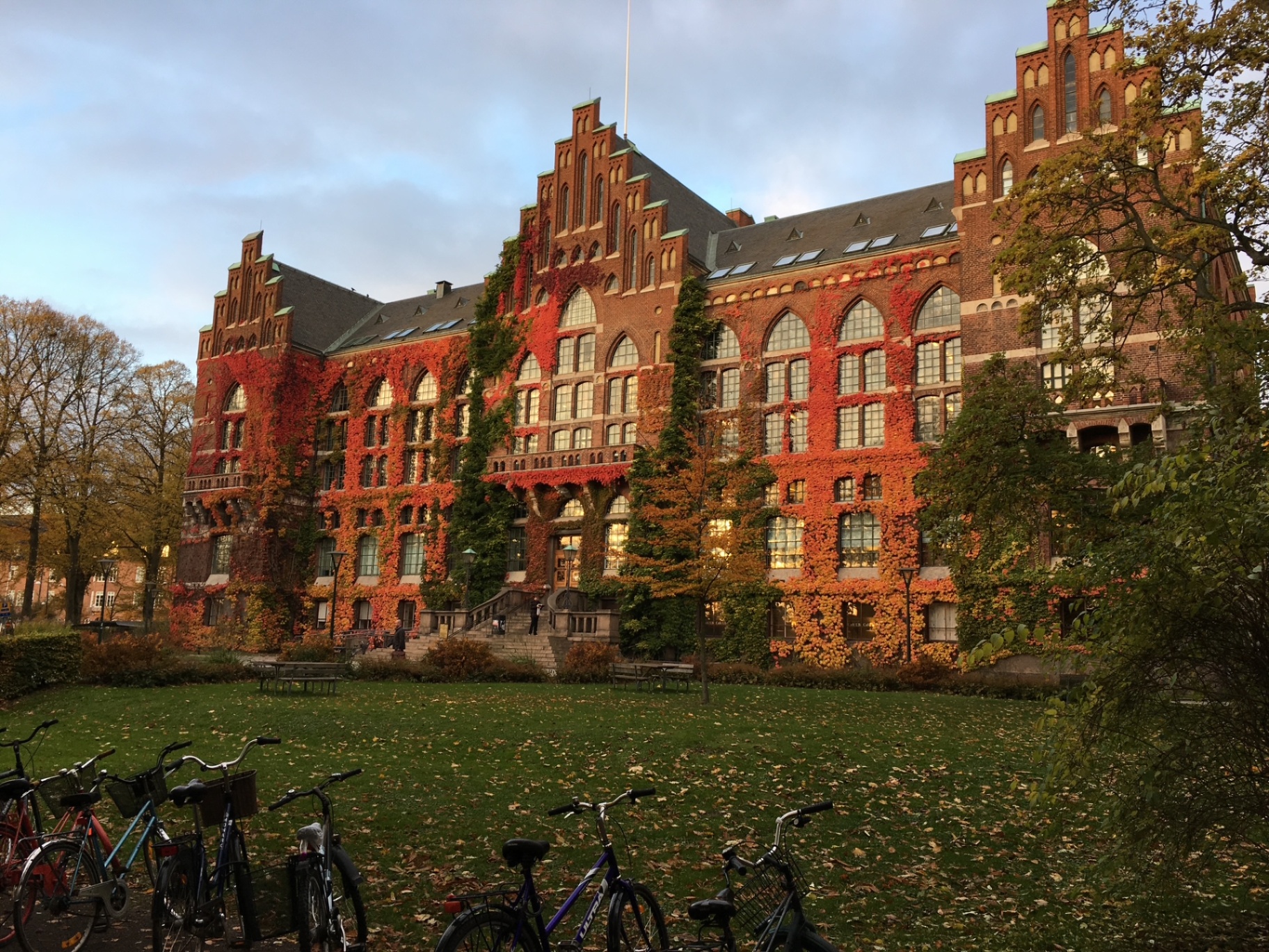 Lund University building covered in autumn ivy